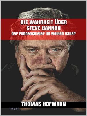 cover image of Die Wahrheit über Steve Bannon